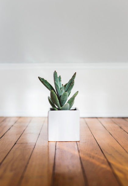 Picking The Finest Wood Floors For Your Pad: 5 Steps To Make