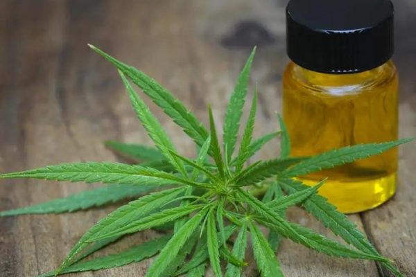 5 Reasons Why I Recommend Diamond CBD